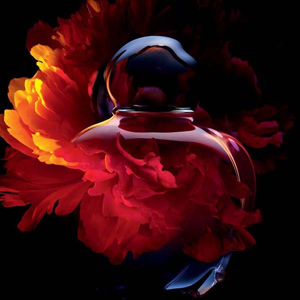 Dior Hypnotic Poison bottle morphed with artistic ingredients