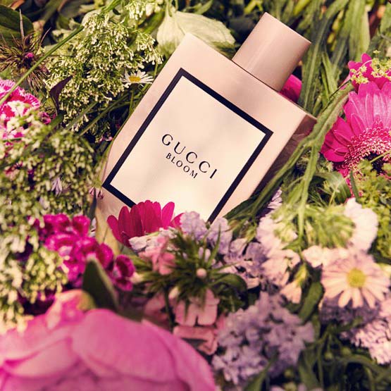 gucci bloom edp for her perfume bottle among plants and ingredients